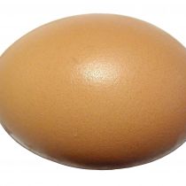 Œufs