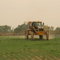 Le coût caché des pesticides
