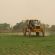 Résidus de pesticides dans les denrées d’origine végétale (DGCCRF)
