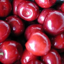 Insecticides Peut-on encore manger des cerises ?